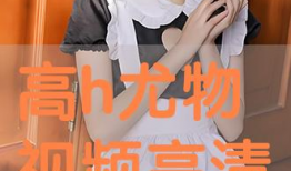 高h视频,揭秘视觉盛宴背后的技术奥秘